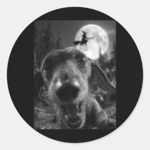 Grappige Dachshund Selfie Volle Maan Vliegende Hek Ronde Sticker