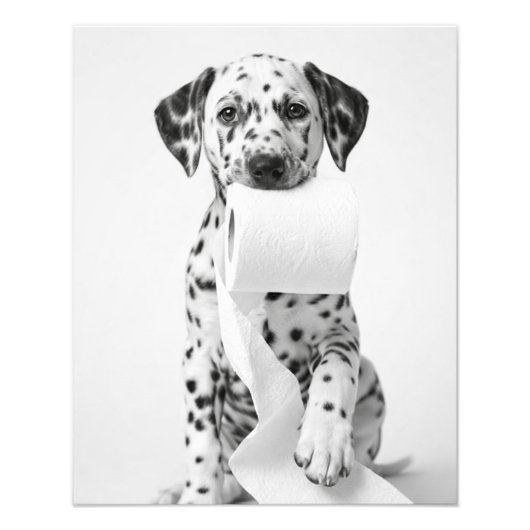 Grappige Dalmatische Pup Die Toiletpapier Vasthoud Foto Afdruk (Voorkant)