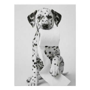 Grappige Dalmatische Puppy met Toilet Papier Minim Perfect Poster