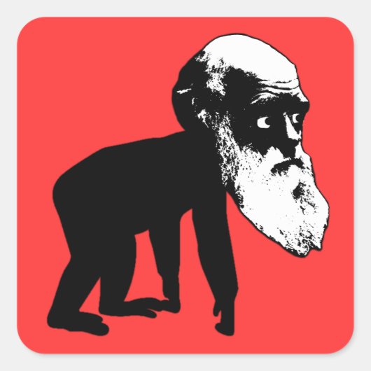 Grappige Darwin evolutie Vierkante Sticker (Voorkant)