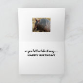 grappige de kaarthumor van de gordeldierverjaardag kaart (Binnen)