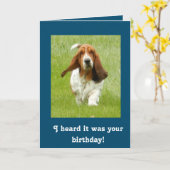 Grappige de verjaardagskaart van Basset Hound Kaart (Gele Bloem)