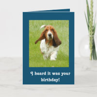 Grappige de verjaardagskaart van Basset Hound