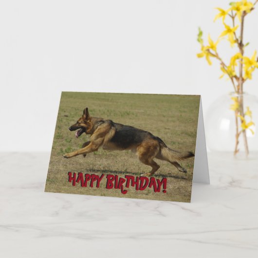 Grappige de verjaardagskaart van de Duitse herder Kaart (Gele Bloem)