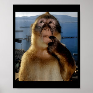Grappige Denkende Aap Meme Nieuwsgierige Aap Brain Poster