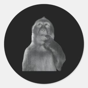 Grappige Denkende Aap Meme Nieuwsgierige Aap Brain Ronde Sticker