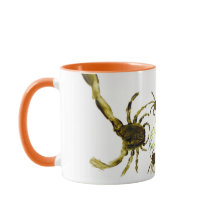 Grappige Dieren Abstracte Krabben en Fish Rock Poo