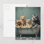 Grappige dieren in bad briefkaart (Voorkant / Achterkant)