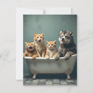 Grappige dieren in bad briefkaart