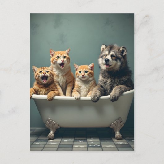 Grappige dieren in bad briefkaart (Voorkant)