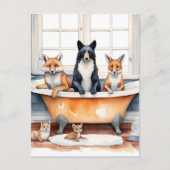 Grappige dieren in bad briefkaart (Voorkant)