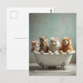 Grappige dieren in bad briefkaart (Voorkant / Achterkant)