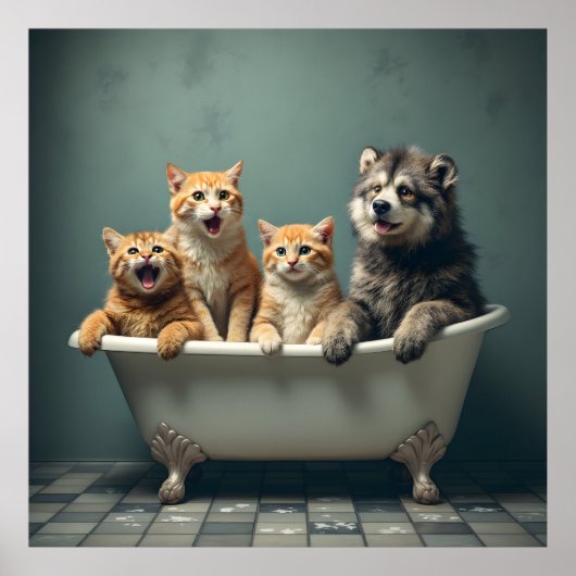 Grappige dieren in bad poster (Voorkant)