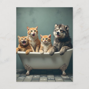 Grappige dieren in badkuip briefkaart