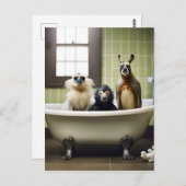 Grappige dieren in de badkamer briefkaart (Voorkant / Achterkant)