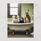 Grappige dieren in de badkamer briefkaart (Voorkant)