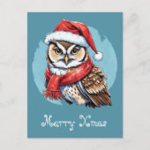 Grappige dieren Kerstfavorieten - Uil 1 Briefkaart (Voorkant)