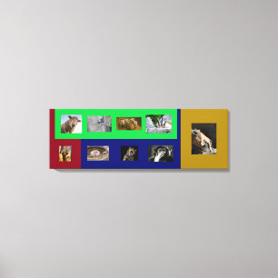 Grappige dieren op kleurrijk gespannen canvas afdruk