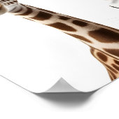 Grappige dieren op wit poster (Hoek)