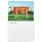 Grappige dieren poepen 2025 gepersonaliseerd kalender (Jan 2027)