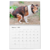 Grappige dieren poepen 2025 gepersonaliseerd kalender (Feb 2027)