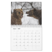 Grappige dierenkalender kalender (Mar 2027)