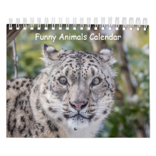 Grappige dierenkalender kalender