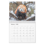 Grappige dierenkalender kalender (Feb 2026)