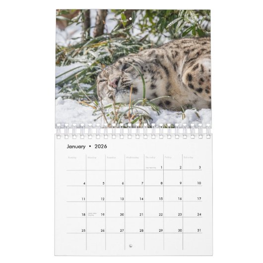 Grappige dierenkalender kalender (Jan 2026)