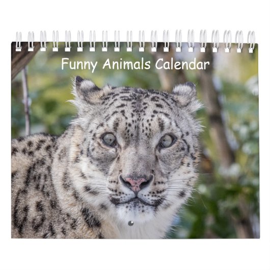 Grappige dierenkalender kalender (Hoes)