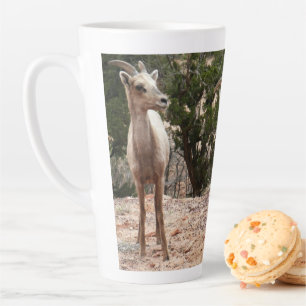 Grappige dikhoornige schapen in Zion National Park Latte Mok