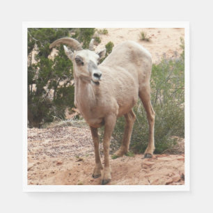 Grappige dikhoornige schapen in Zion National Park Servetten