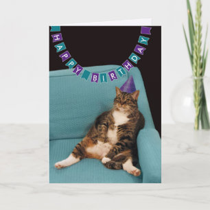 Grappige dikke kat in Paarse Pet Happy Birthday Kaart