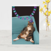 Grappige dikke kat in Paarse Pet Happy Birthday Kaart (Gele Bloem)