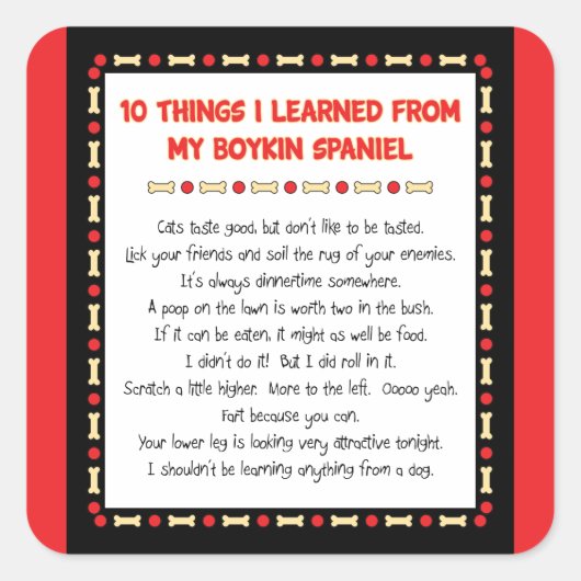 Grappige dingen die ik geleerd heb van mijn Boykin Vierkante Sticker (Voorkant)