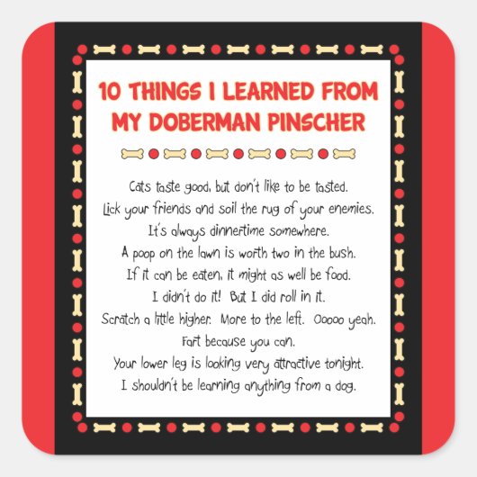 Grappige dingen die ik heb geleerd van mijn doberm vierkante sticker (Voorkant)