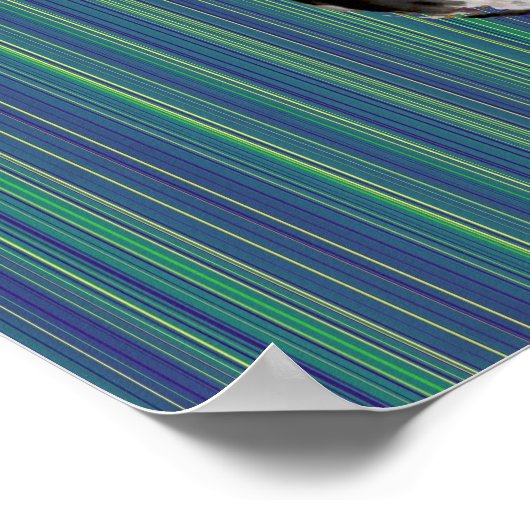 grappige DJ-kat Poster (Hoek)