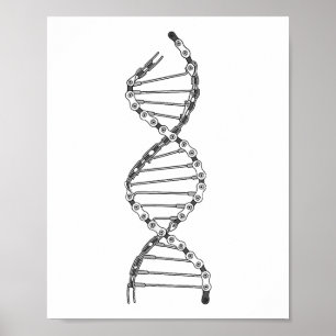 Grappige DNA Fietsen Bicycle Ketting Mountainbike Poster