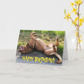 Grappige dogue de bordeaux verjaardagskaart kaart (Gele Bloem)