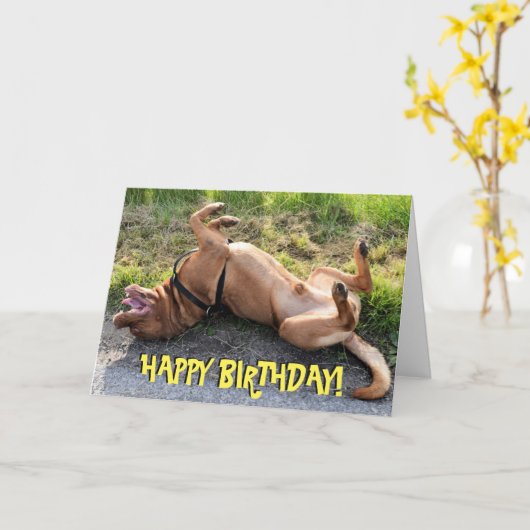 Grappige dogue de bordeaux verjaardagskaart kaart (Gele Bloem)