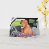 Grappige dogue de bordeaux verjaardagskaart kaart (Gele Bloem)