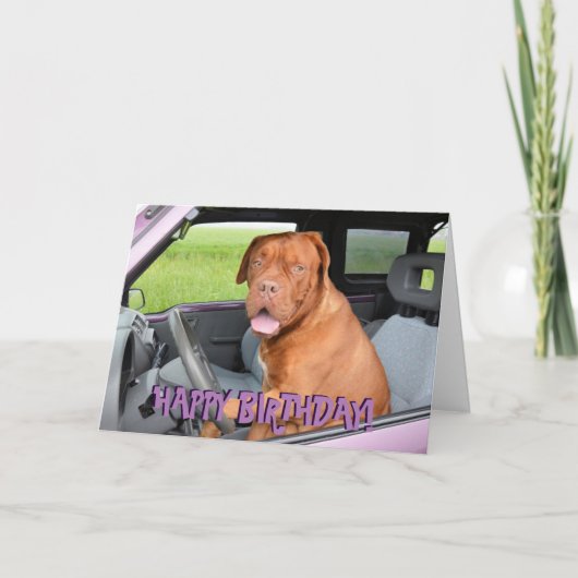 Grappige dogue de bordeaux verjaardagskaart kaart (Voorkant)
