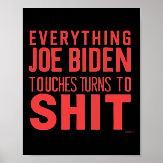 Grappige Donald Trump 2024 Alles Joe Biden Touch Poster (Voorkant)