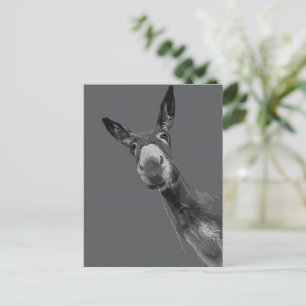Grappige Donkey Grayscale Portretkunst Briefkaart