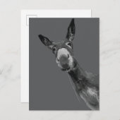 Grappige Donkey Grayscale Portretkunst Briefkaart (Voorkant / Achterkant)