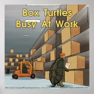 Grappige Dooschildpad Glanzende Poster