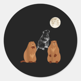 Grappige Drie Bosmarmot Maan Bosmarmot Dag Mannen Ronde Sticker