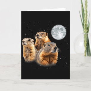 Grappige Drie Bosmarmot Maan Bosmarmotdag Kaart