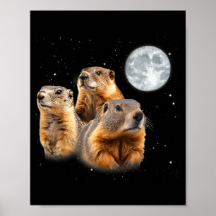 Grappige drie bosmarmot maan bosmarmotdag  poster