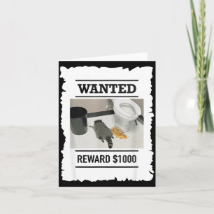 Grappige Dronken Wasbeer Gezocht Beloning $1000 Vu Kaart